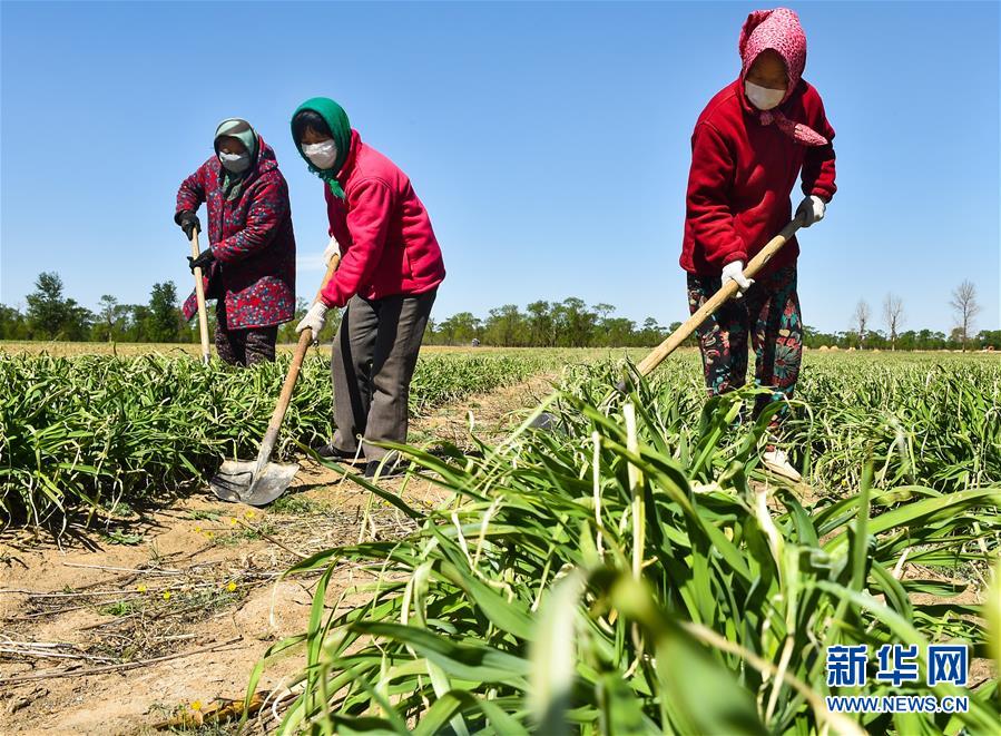 （新華全媒頭條·圖文互動(dòng)）（17）從人民中汲取磅礴力量——習(xí)近平總書記同出席2020年全國兩會(huì)人大代表、政協(xié)委員共商國是紀(jì)實(shí)