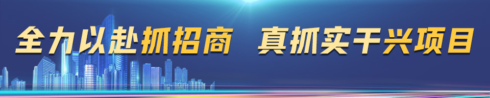 全力以赴抓招商 真抓實干興項目