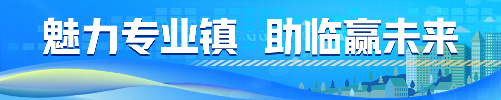 魅力專業(yè)鎮(zhèn) 助臨贏未來