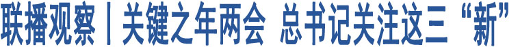 聯(lián)播觀察丨關(guān)鍵之年兩會(huì) 總書記關(guān)注這三“新”