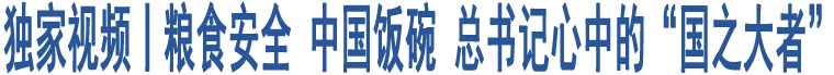 獨(dú)家視頻丨糧食安全 中國(guó)飯碗 總書記心中的“國(guó)之大者”