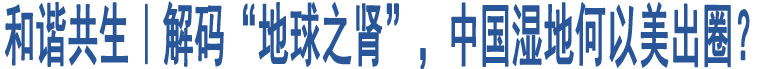 和諧共生｜解碼“地球之腎”，中國濕地何以美出圈？