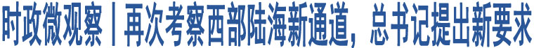 時政微觀察丨再次考察西部陸海新通道，總書記提出新要求