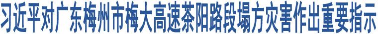 習(xí)近平對(duì)廣東梅州市梅大高速茶陽(yáng)路段塌方災(zāi)害作出重要指示