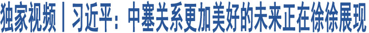 獨家視頻丨習(xí)近平：中塞關(guān)系更加美好的未來正在徐徐展現(xiàn)