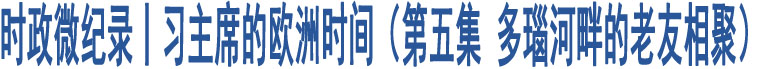 時(shí)政微紀(jì)錄丨習(xí)主席的歐洲時(shí)間（第五集 多瑙河畔的老友相聚）