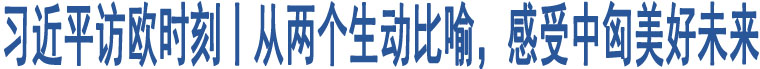 習(xí)近平訪歐時(shí)刻丨從兩個(gè)生動(dòng)比喻，感受中匈美好未來