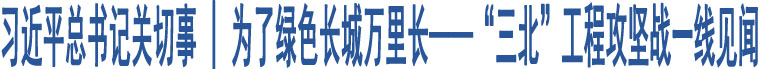 習(xí)近平總書記關(guān)切事 | 為了綠色長城萬里長——“三北”工程攻堅戰(zhàn)一線見聞