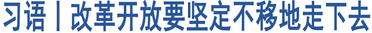 習(xí)語丨改革開放要堅(jiān)定不移地走下去