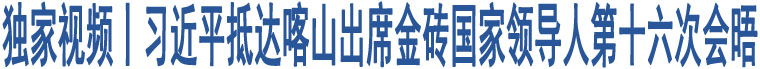 獨(dú)家視頻丨習(xí)近平抵達(dá)喀山出席金磚國(guó)家領(lǐng)導(dǎo)人第十六次會(huì)晤