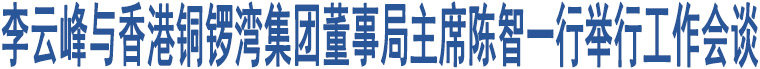 李云峰與香港銅鑼灣集團(tuán)董事局主席陳智一行舉行工作會(huì)談