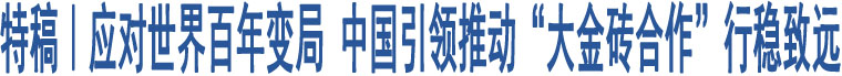 特稿｜應(yīng)對(duì)世界百年變局 中國(guó)引領(lǐng)推動(dòng)“大金磚合作”行穩(wěn)致遠(yuǎn)