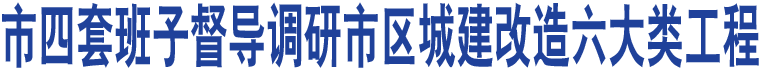 市四套班子督導(dǎo)調(diào)研市區(qū)城建改造六大類工程