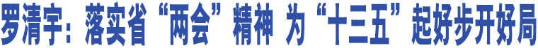 羅清宇：落實(shí)省“兩會(huì)”精神 為“十三五”起好步開(kāi)好局