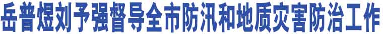 岳普煜劉予強督導全市防汛和地質災害防治工作